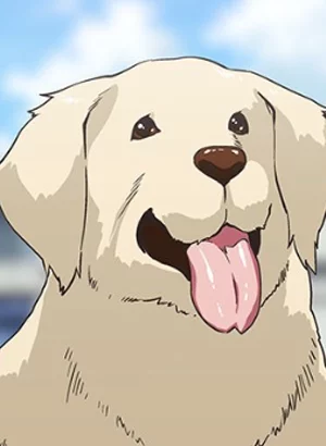 Thinking about him