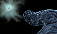 WORMTOOKA (1)