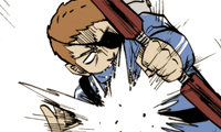 The Bully Hunter