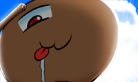 Ants