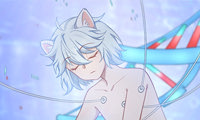 My New Pet Cat