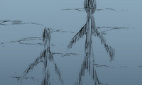Monsoon Rain
