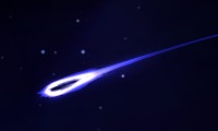 NASSA
