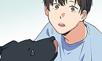 Lovers, Cats, and the Killer