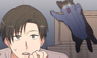 Lovers, Cats, and the Killer