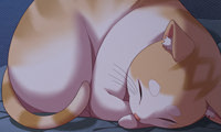 The Love Meowtchmaker