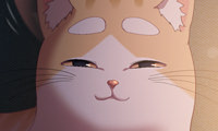 The Love Meowtchmaker